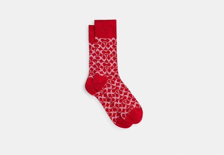 Chaussettes Exclusives - COACH - Modalova