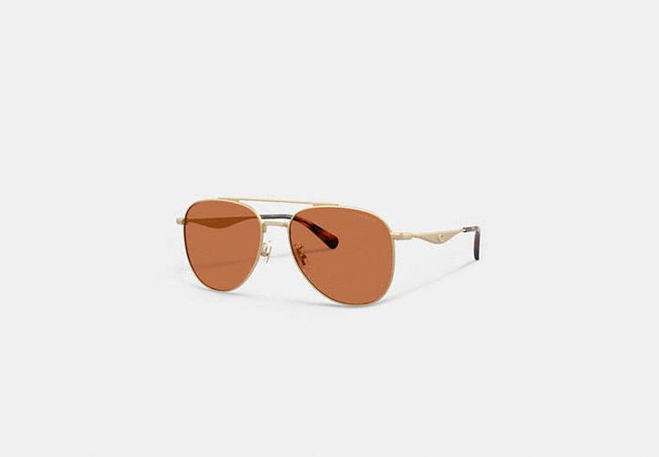 Lunettes De Soleil Pilote - COACH - Modalova