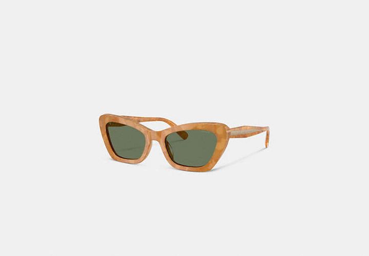 Lunettes De Soleil ail-De-Chat Câble - COACH - Modalova