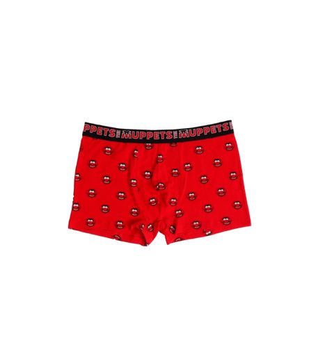 Boxer Animal eojo (M), , Homewear, Coton - Disney - Modalova