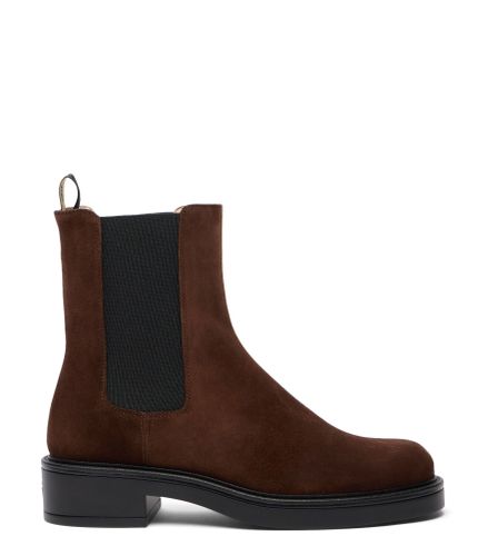CELIA CHELSEA BOOTIE, BOTTES ET BOTTINES, , SPORT SUEDE - Stuart Weitzman - Modalova