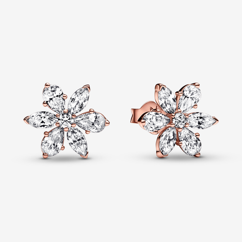 Clous d'Oreilles Herbier Scintillant - Pandora - Modalova