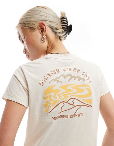 Saltville - T-shirt crop top - Beige - Dickies - Modalova
