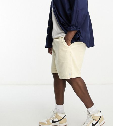 Big & Tall - Prepsters - Short en velours côtelé avec logo emblématique - Crème - Polo Ralph Lauren - Modalova