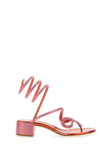 Rene caovilla sandal snake - rene caovilla - Modalova