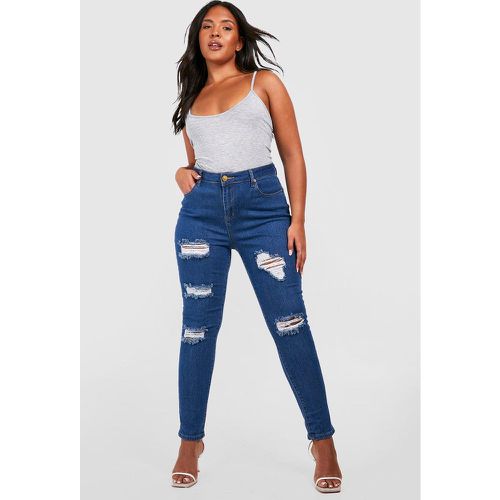 Grande Taille - Jean Coupe Skinny - 54 - boohoo - Modalova