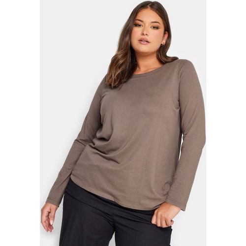 Tshirt Mocha Manches Longues Jersey, Grande Taille & Courbes - Yours - Modalova