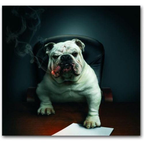 Tableau Animaux Chien Bulldog avec Cigare 50X50 cm - 3S. x Home - Modalova