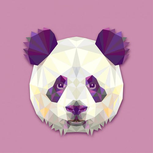 Tableau Animaux Panda 50X50 OMAR - 3S. x Home - Modalova