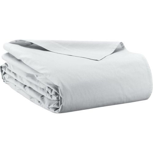 Drap plat Calita Blanc 240 x 300 - Vivaraise - Modalova