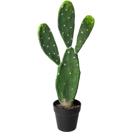 Plante artificiel Cactus - 3S. x Home - Modalova