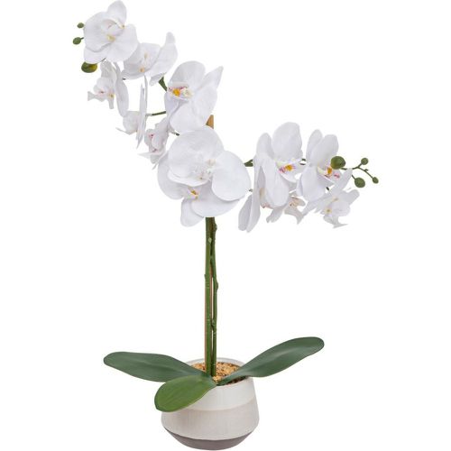 Orchidée artificielle Clera H52cm - 3S. x Home - Modalova