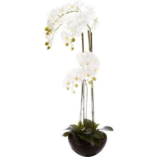 Orchidée En Pot Céramique H115 - 3S. x Home - Modalova