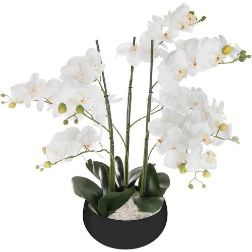 Orchidée pot céramique noir H65 - 3S. x Home - Modalova