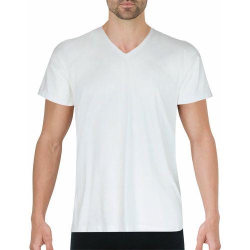 T-shirt col V Coton d'Egypte blanc - Eminence - Modalova