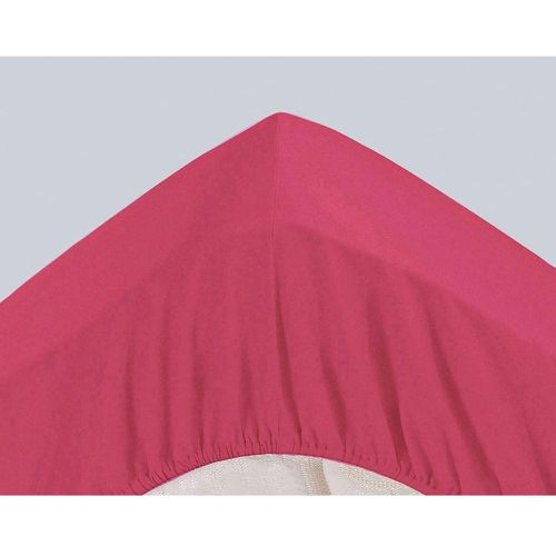 Drap-housse Grands Bonnets 32 cm en polycoton - Becquet - Modalova