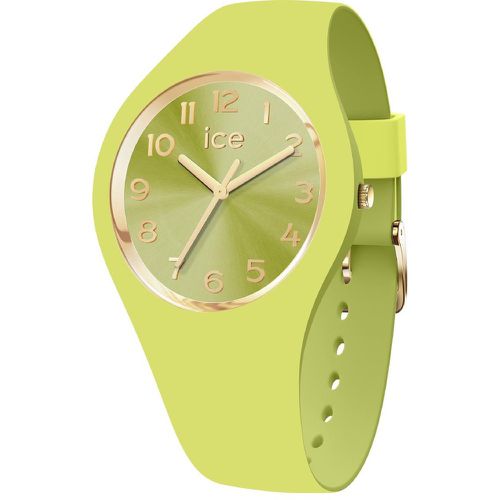 Montre Femme ICE duo chic - Lime - Small+ - 3H - 021820 - Ice-Watch - Modalova