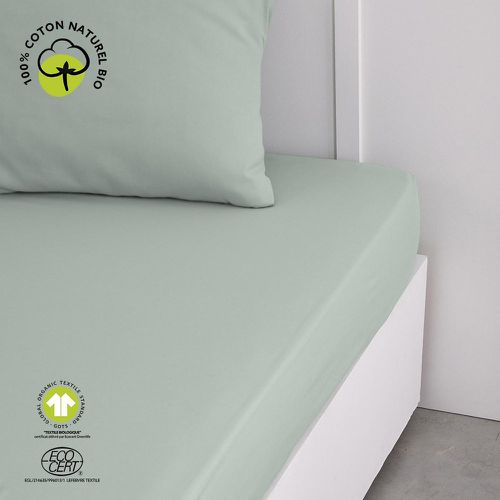 Drap-Housse Organic en Coton Céladon - Today - Modalova