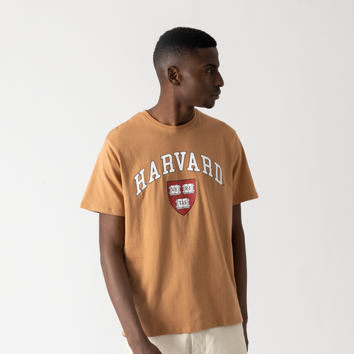 Tee Shirt Harvard Caramel - US COLLEGE - Modalova