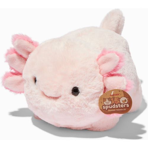 Peluche Axel l'axolotl 25,5 cm Spudsters™ - Claire's - Modalova