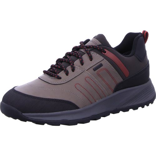 Tennis U TERRESTRE B ABX,DOVE GREY 39 - Geox - Modalova