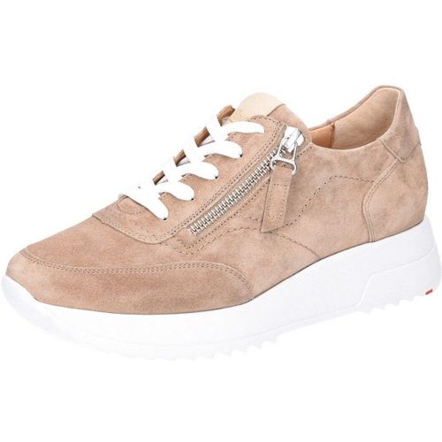 Lloyd Tennis 41 - Lloyd - Modalova