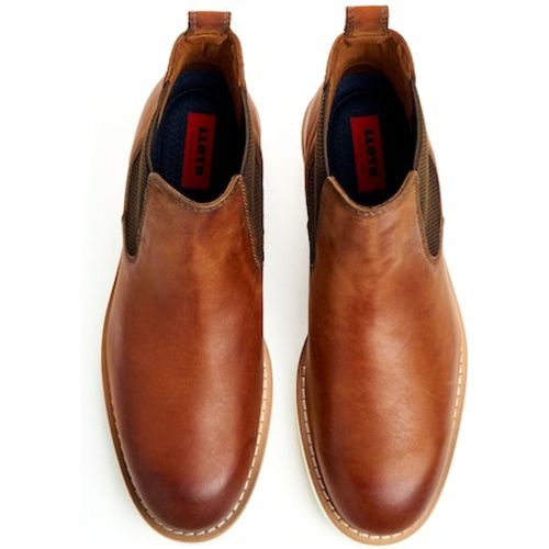 Lloyd Bottines 6,5 - Lloyd - Modalova
