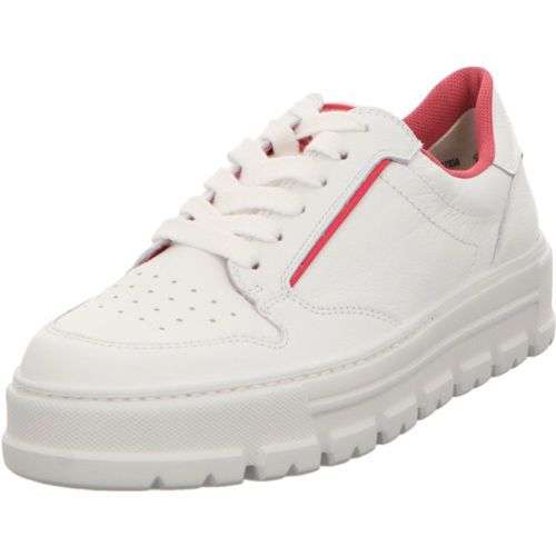 Tennis M.Calf/K.Lack 6,5 - Paul Green - Modalova
