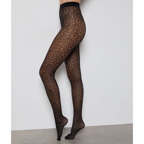 Collant mode - 15d - Leopard - L/XL - Etam - Modalova