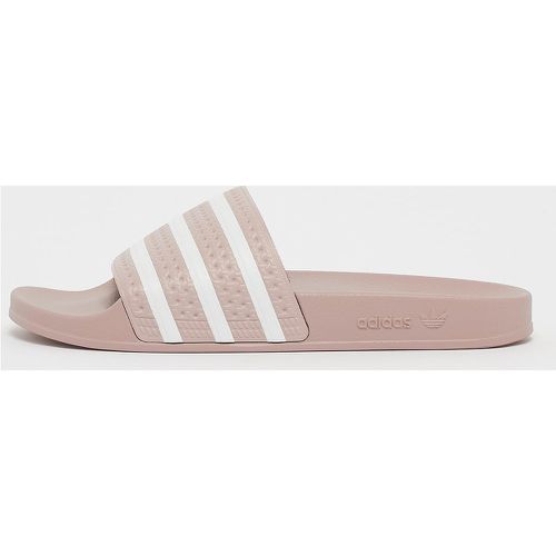 Tongs adilette, , Footwear, en , taille: 46 - adidas Originals - Modalova