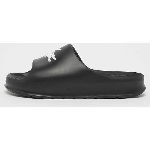 Croco Evo Serve Slide 2.0 Homme Casquettes & Sandales Taille 39.5 Chaussures - Lacoste - Modalova