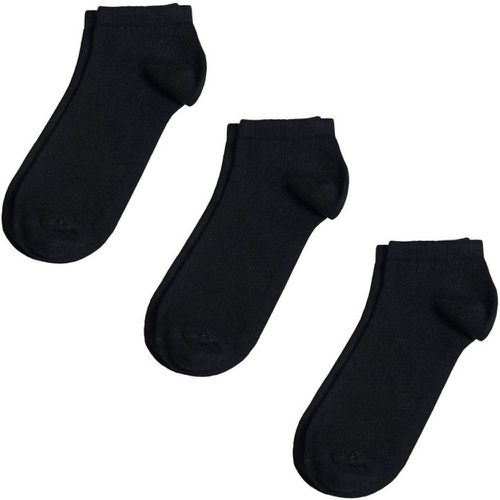 Socquettes coton Lot 3 paires - Fabriqué en europe - DANDYTOUCH - Modalova