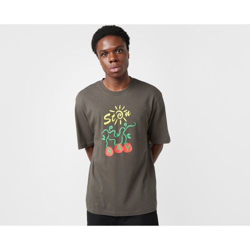 Stan Ray Vine T-Shirt, Grey - Stan Ray - Modalova