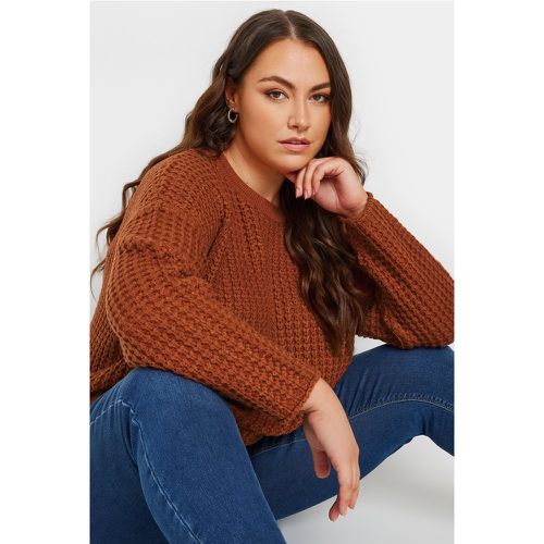 Curve Rust Waffle Knit Jumper, Grande Taille & Courbes - Yours - Modalova