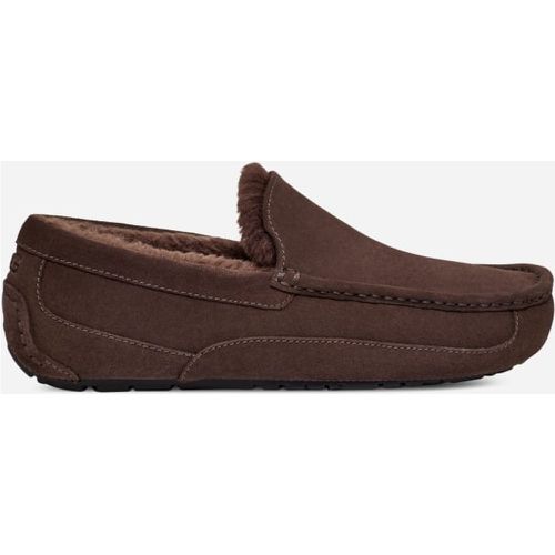 Chausson Ascot | UE in , Taille 50.5, Cuir - Ugg - Modalova
