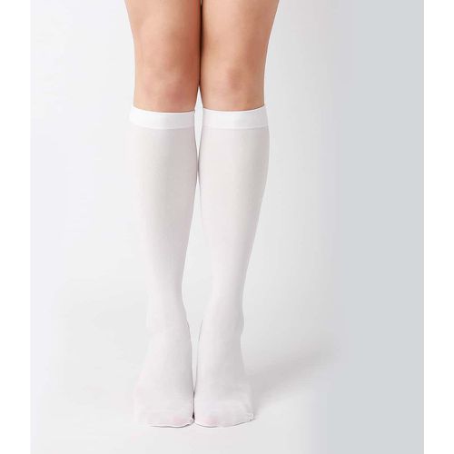 Chaussettes montantes unicolore - SHEIN - Modalova