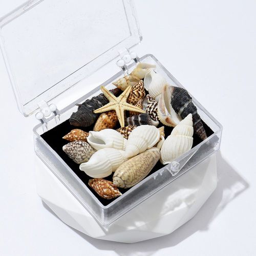 Boîte Accessoire de bijoux DIY coquille - SHEIN - Modalova