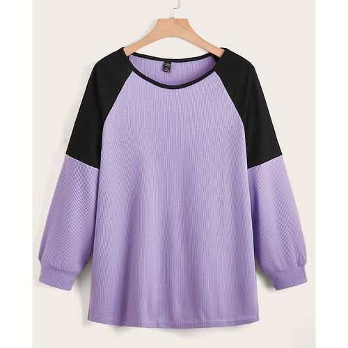 Sweat-shirt manches raglan bicolore - SHEIN - Modalova