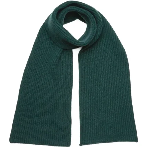 Accessories > Scarves > Winter Scarves - - Boglioli - Modalova