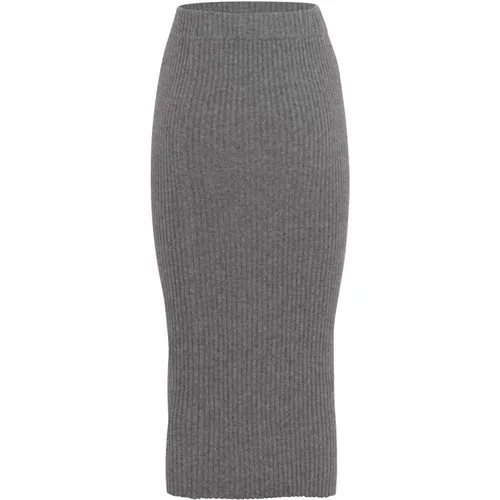 IRO - Skirts > Midi Skirts - Gray - IRO - Modalova