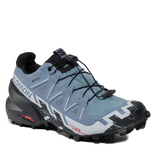 Chaussures Salomon Speedcross 6 GORE-TEX L47302300 Flint Stone/Black/Heather - Chaussures.fr - Modalova