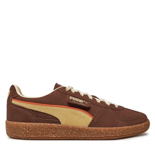 Sneakers Puma Palermo Cannoli 398382-02 Marron - Chaussures.fr - Modalova