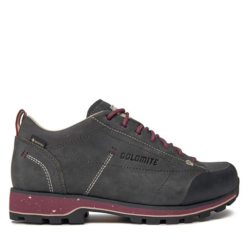 Chaussures de trekking Dolomite W'S 54 Low Fg Evo Gtx GORE-TEX 292534 Anthracite Grey - Chaussures.fr - Modalova