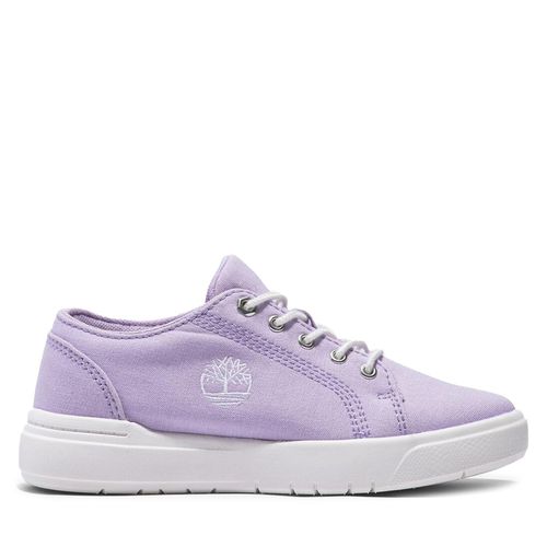 Sneakers Timberland Seneca Bay Low Lace Sneaker TB0A695NEY21 Violet - Chaussures.fr - Modalova