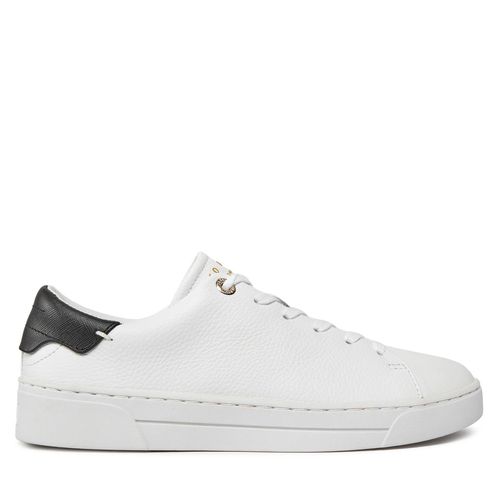 Sneakers Ted Baker 257210 Blanc - Chaussures.fr - Modalova