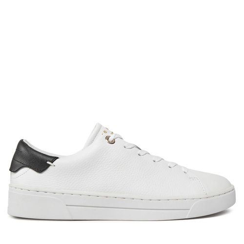 Sneakers Ted Baker 257210 White - Chaussures.fr - Modalova