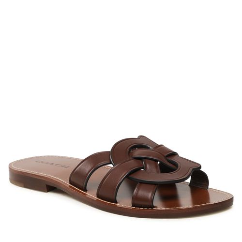 Mules / sandales de bain Coach Issa Leather Sandal CI222 Walnut - Chaussures.fr - Modalova