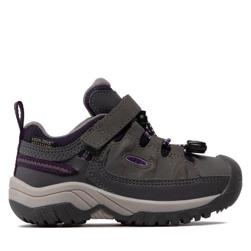 Chaussures de trekking Keen Targhee Low Wp 1026292 Magnet/Tillandsia Purple - Chaussures.fr - Modalova