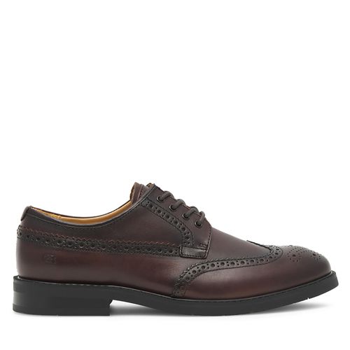 Chaussures basses Gino Rossi DANTE-02 123AM Brown - Chaussures.fr - Modalova