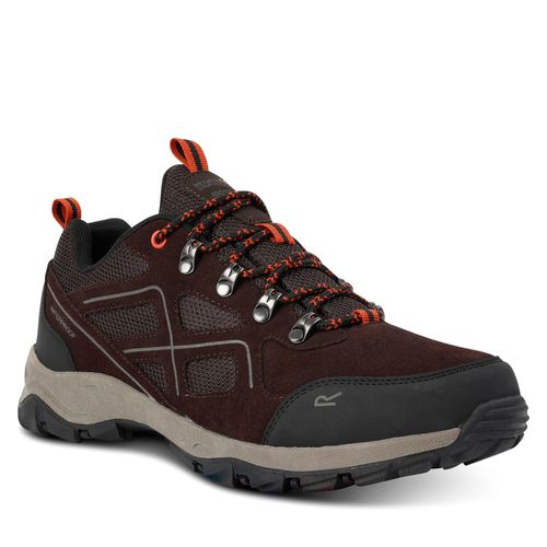 Chaussures de trekking Regatta VendeavorSuedeLow RMF837 Peat / Blaze Orange 2BV - Chaussures.fr - Modalova